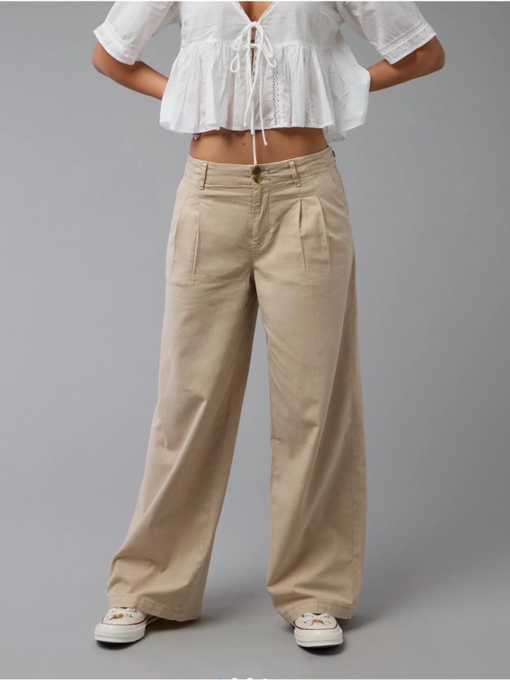 American Eagle Wide Leg Pleated Pants - Beige